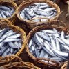 ZM: vairāki Latvijas ražotāji uz Ķīnu varēs eksportēt zivju produktus